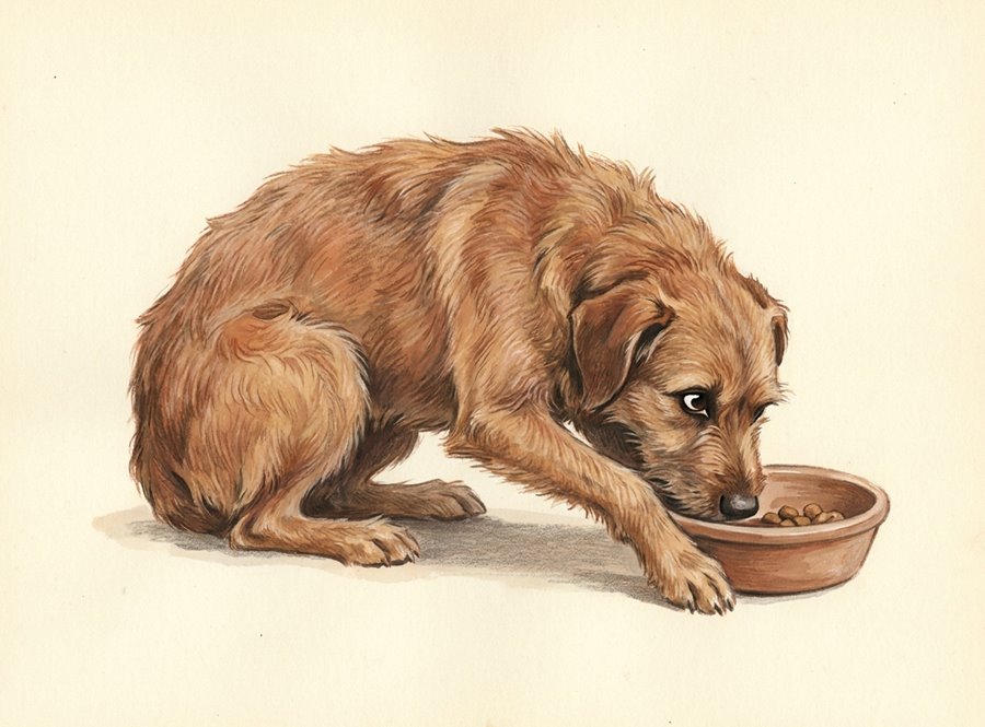 Illustration of a dog hunched low and curved protectively over a food bowl, tense and still, giving a hard sideways glance.