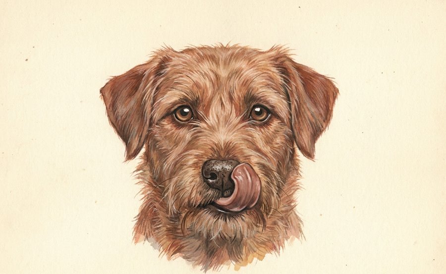 Illustration of a dog flicking its tongue up over its nose and top lip, with no food present.
