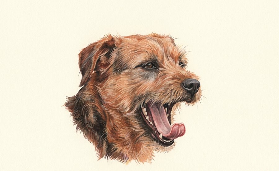 Illustration of a dog giving a big, wide yawn in a tense moment while clearly not sleepy.